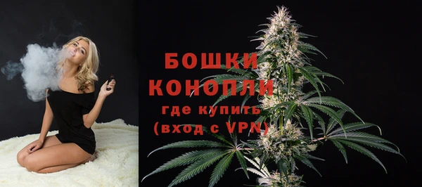 амф Белоозёрский