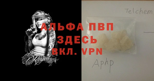 СК Белокуриха