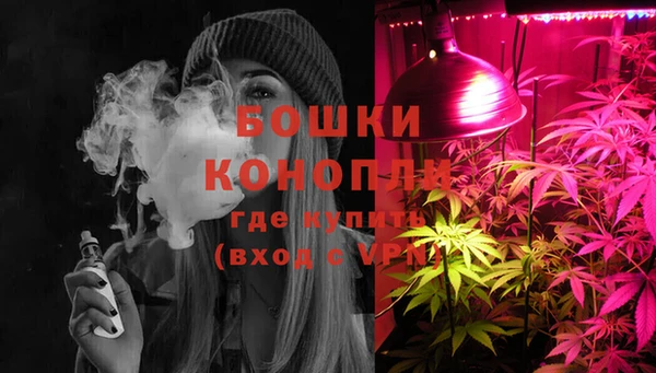 spice Беломорск