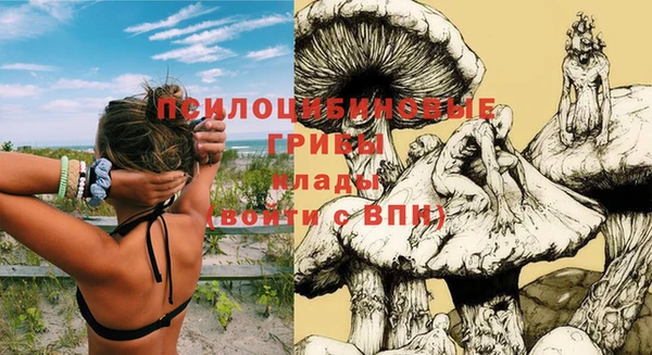 амф Белоозёрский