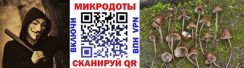 Галлюциногенные грибы прущие грибы  Павловская 
